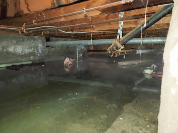 Local water damage restoration in KY