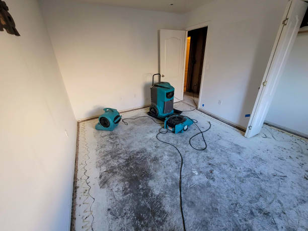 Best Basement water damage restoration  in Owingsville, KY