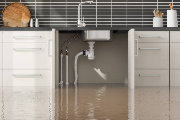 Best 24-hour water damage restoration  in Owingsville, KY