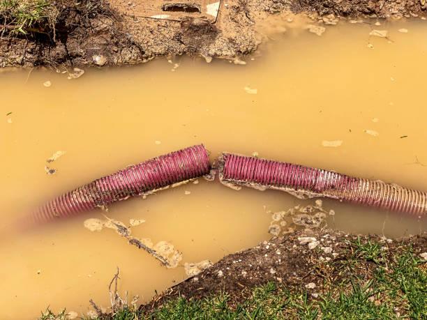 Carpet water damage restoration in KY