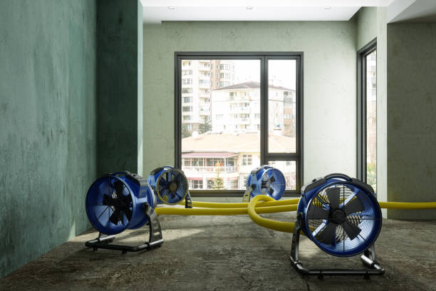 Best Water damage restoration process  in Owingsville, KY